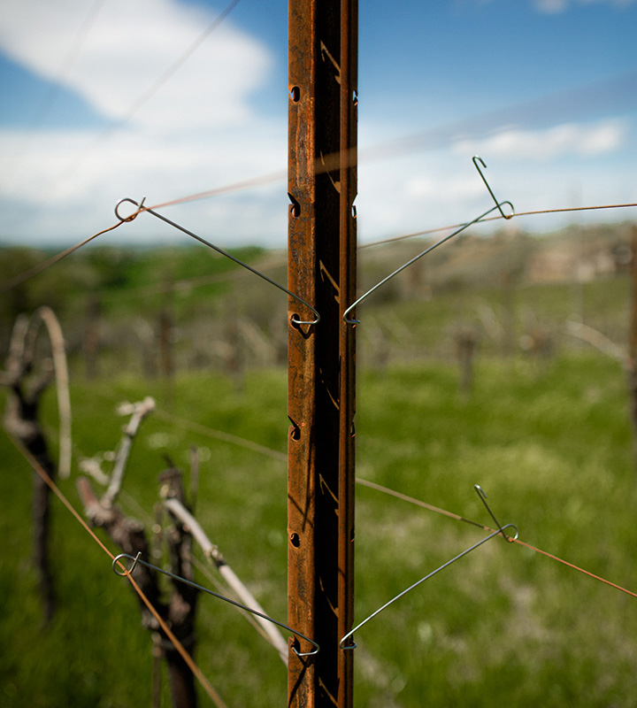 catch wires